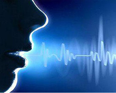 只能语言交互解决方案